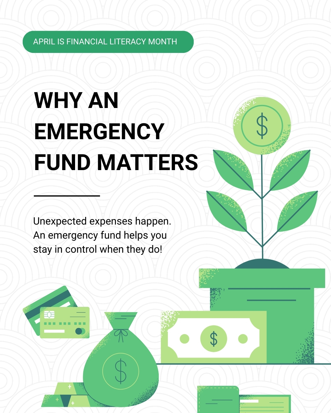 Why an Emergency Fund Matters social media graphic